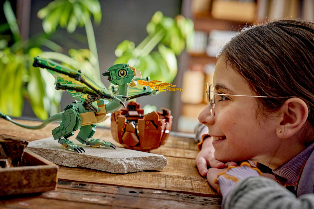 76477 Norbert: Hagrid's Baby Dragon