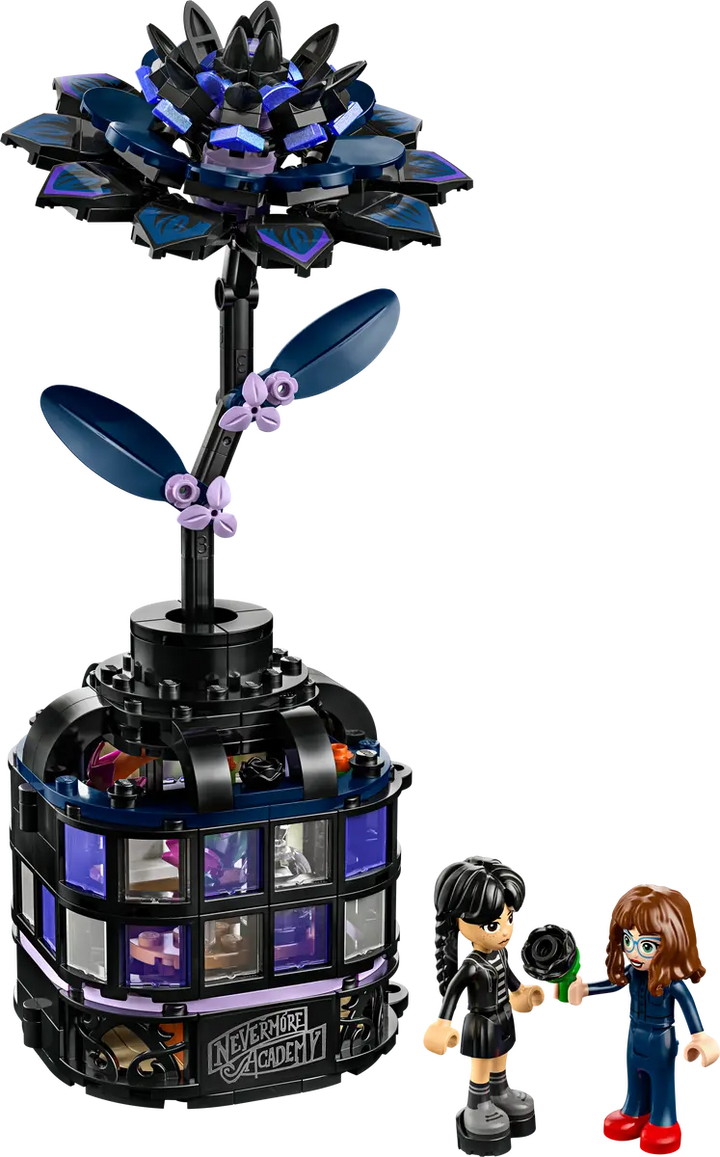 76784 Black Dahlia Flower