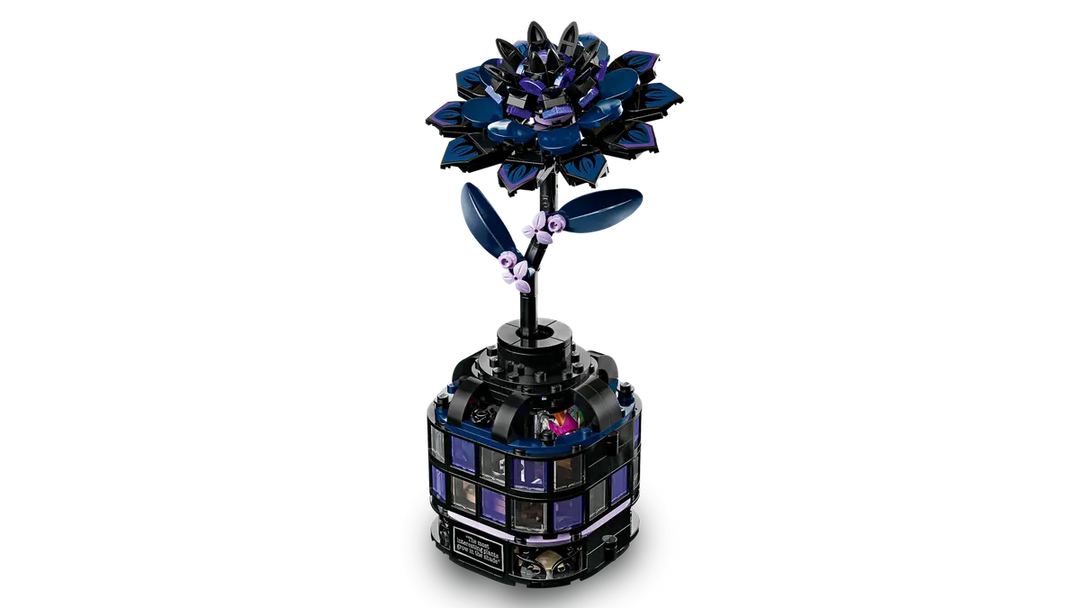 76784 Black Dahlia Flower