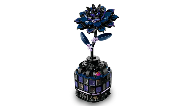 76784 Black Dahlia Flower