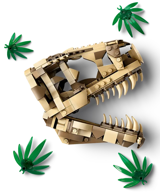 76964 Dinosaur Fossils: T. rex Skull