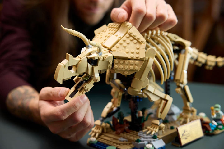 77985 Dinosaur Fossils: Triceratops