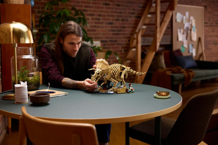 77985 Dinosaur Fossils: Triceratops