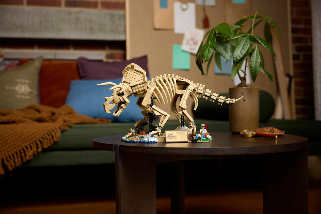 77985 Dinosaur Fossils: Triceratops