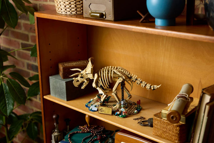 77985 Dinosaur Fossils: Triceratops