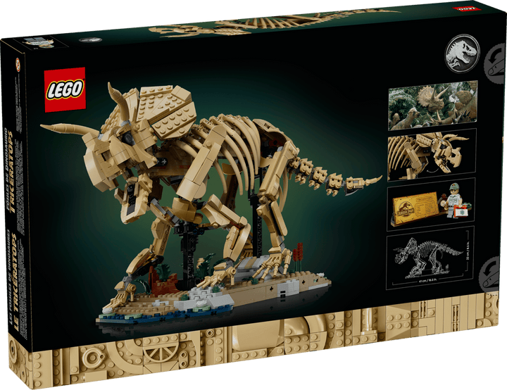 77985 Dinosaur Fossils: Triceratops