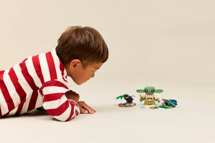 75443 Grogu's Homestead