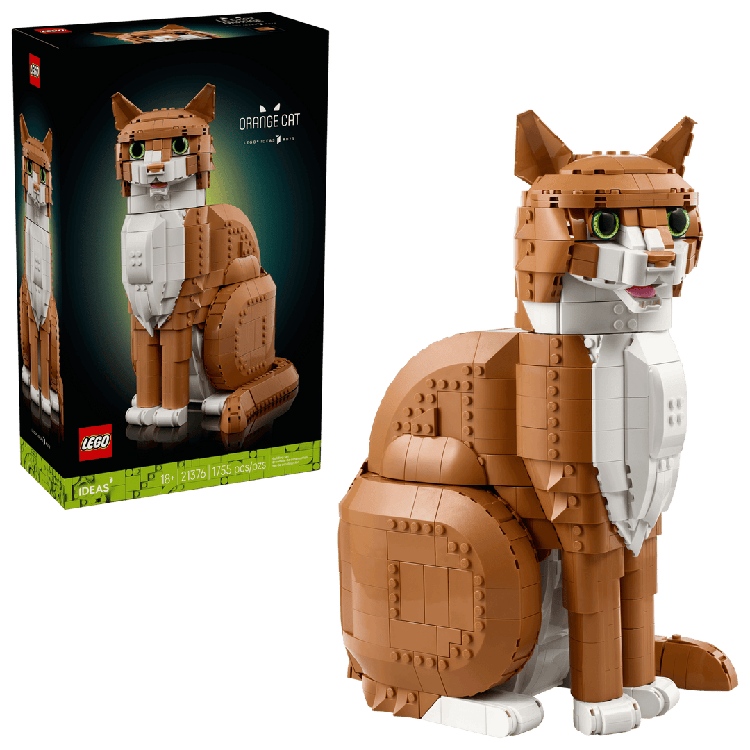 21376 Orange Cat