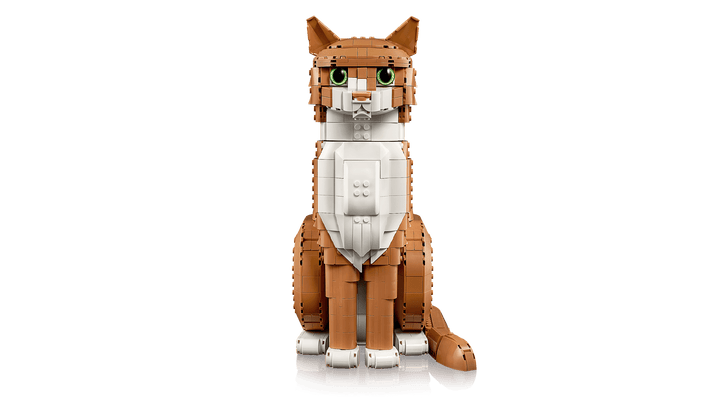 21376 Orange Cat