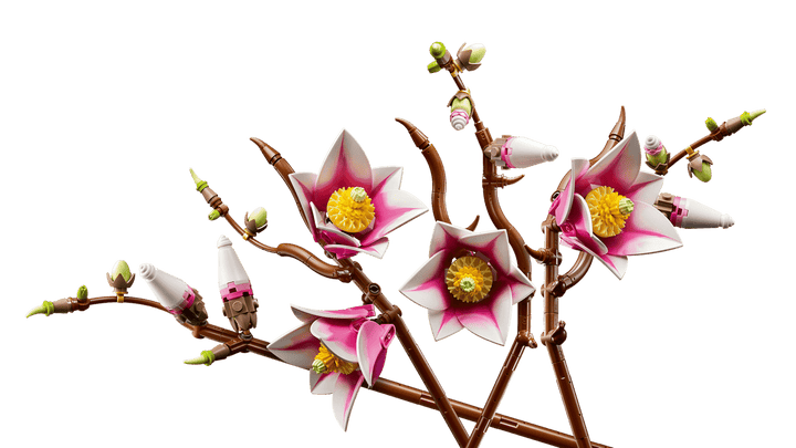 11510 Magnolia Branches