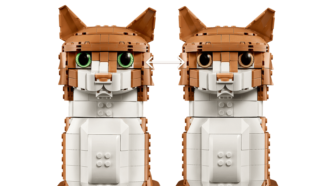 21376 Orange Cat