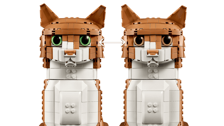 21376 Orange Cat