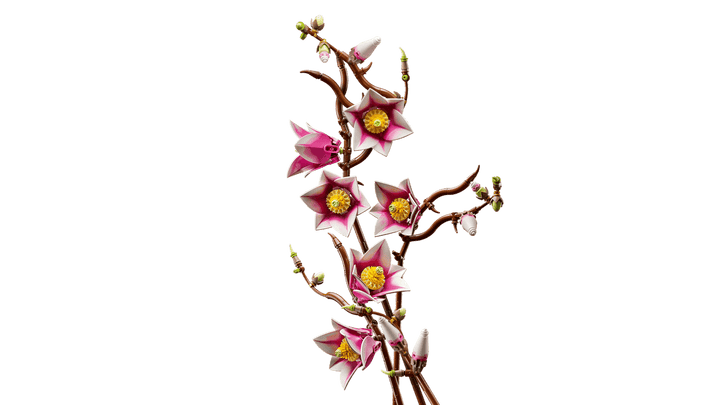 11510 Magnolia Branches