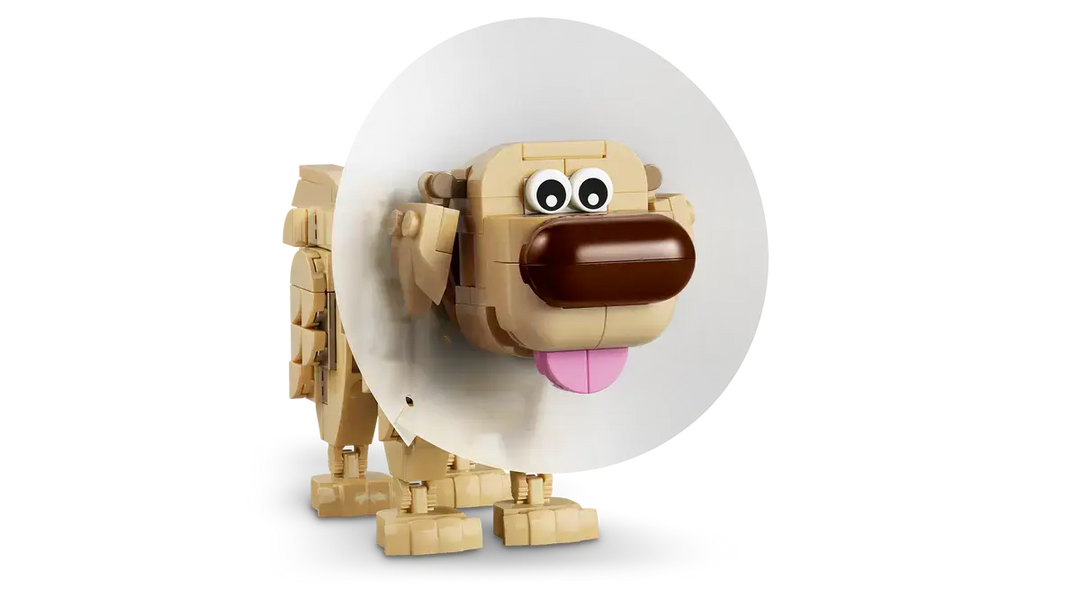 43290 Kevin & Dug