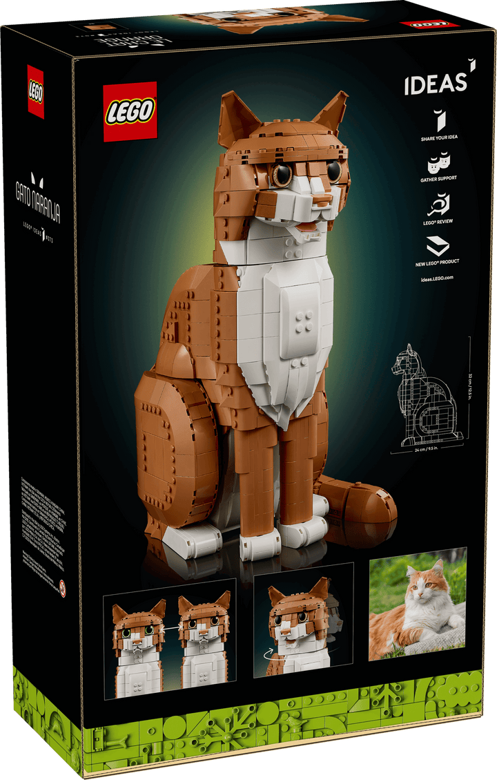 21376 Orange Cat