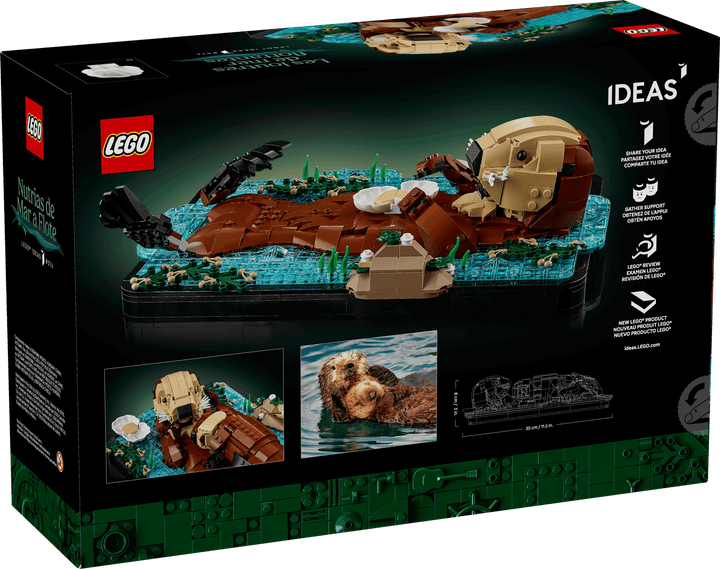 21366 Floating Sea Otters