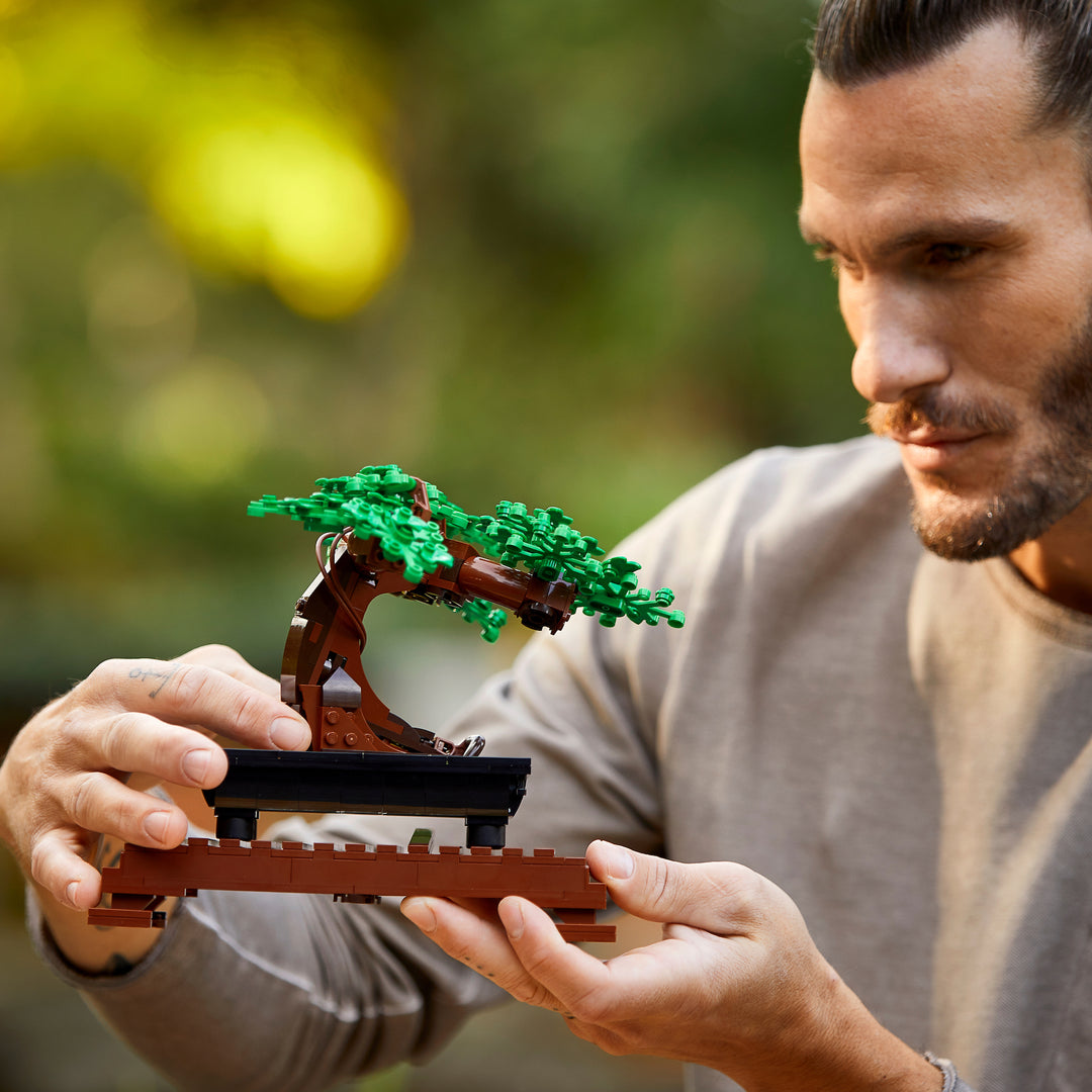 10281 Bonsai Tree