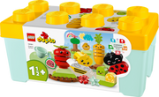 10984 Organic Garden