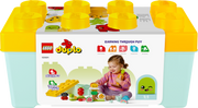 10984 Organic Garden