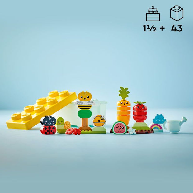 10984 Organic Garden