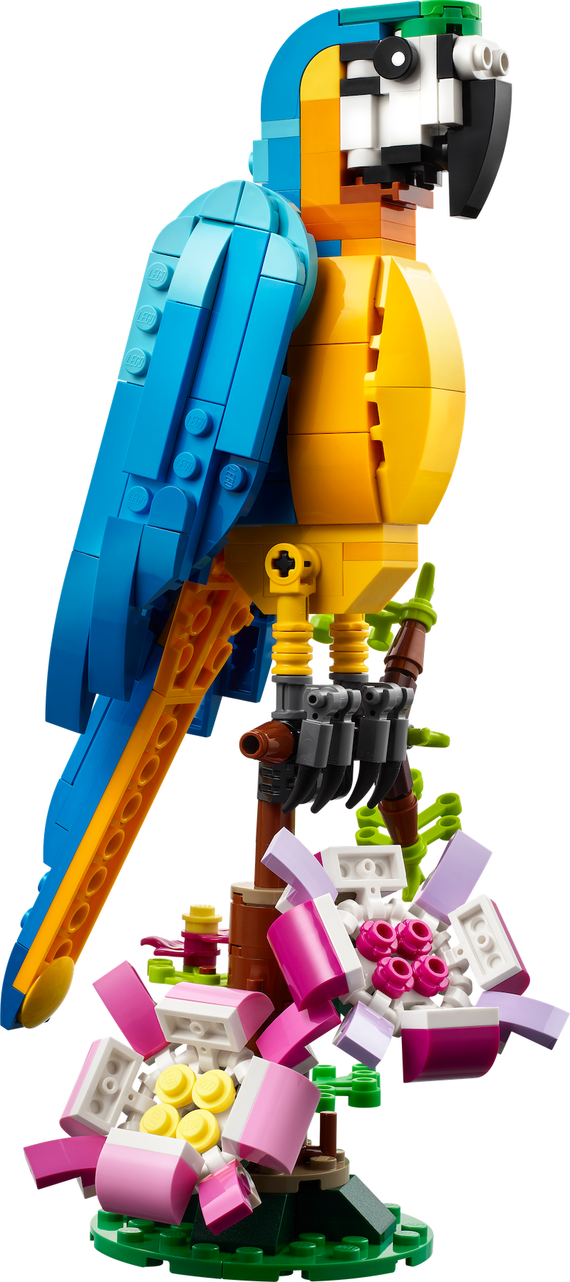 31136 Exotic Parrot