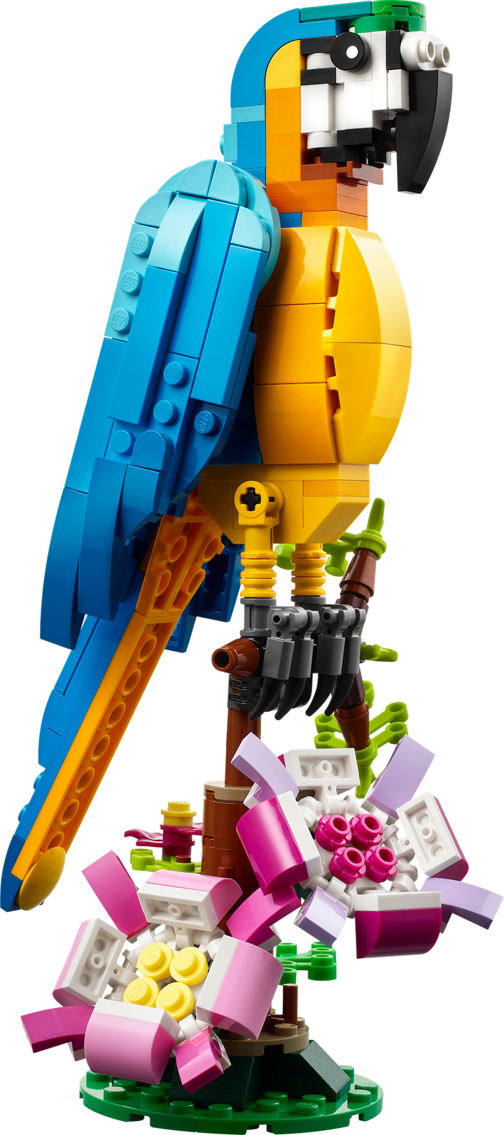 31136 Exotic Parrot