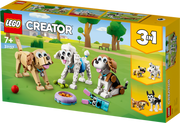 31137 Adorable Dogs