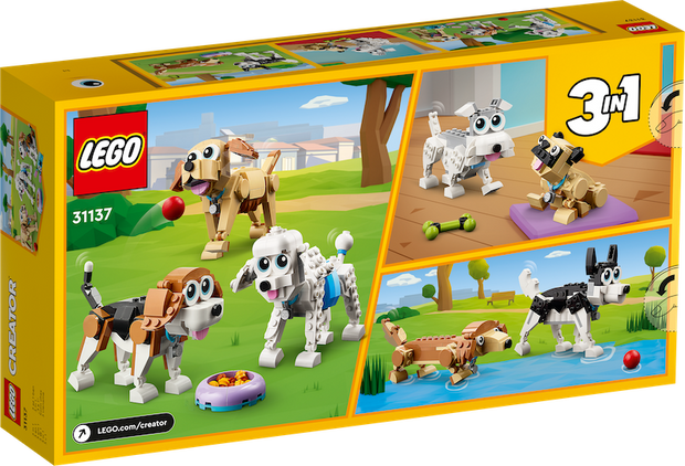 31137 Adorable Dogs