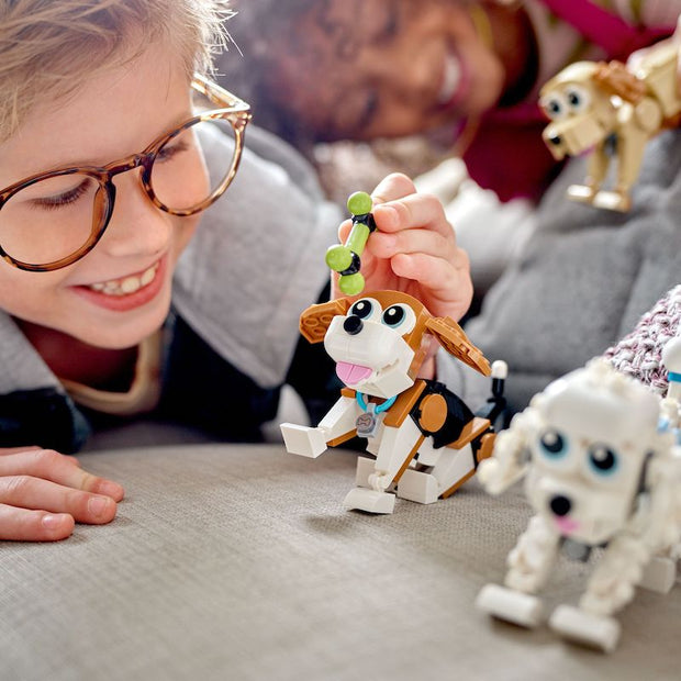 31137 Adorable Dogs