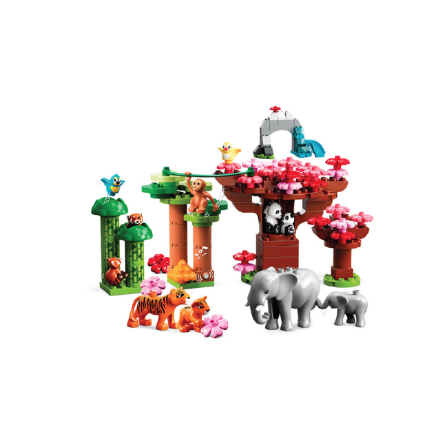 10974 Wild Animals of Asia