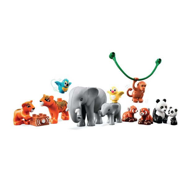 10974 Wild Animals of Asia